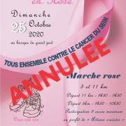 Marche du 25 10 20 annulee